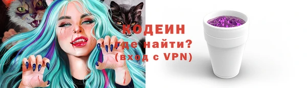 дурь Рославль