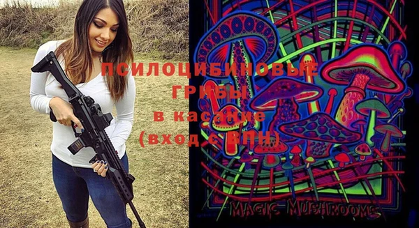 наркотики Абаза