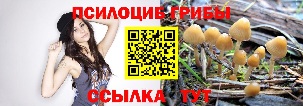 Галлюциногенные грибы мицелий Кашира